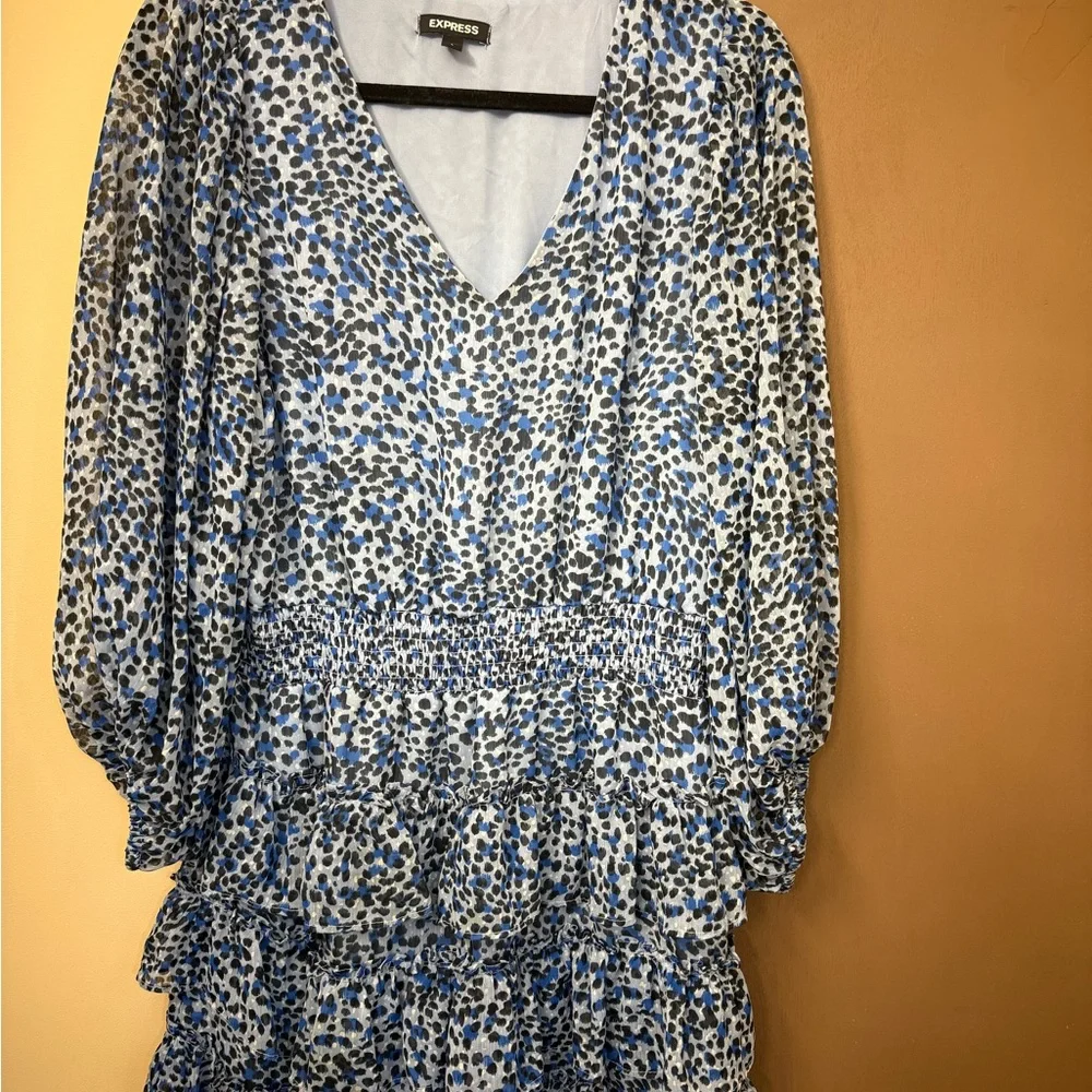 Express Mini Ruffled Dress - Picture 4 of 4